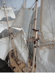 Albatros